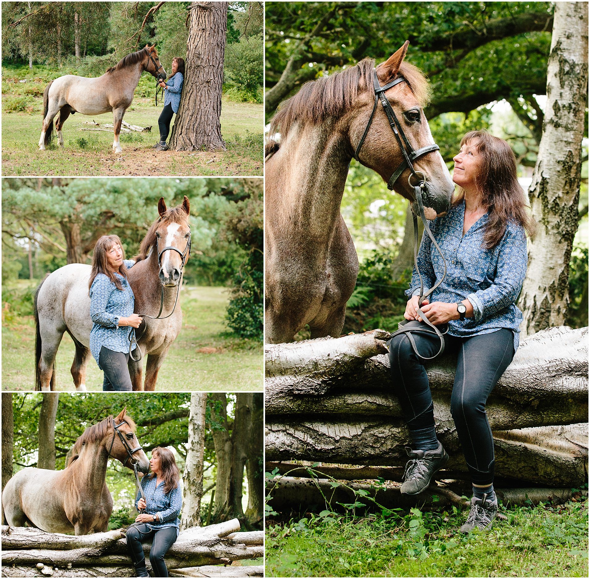 New Forest Pony Jo Worthington Photography #equinephotography