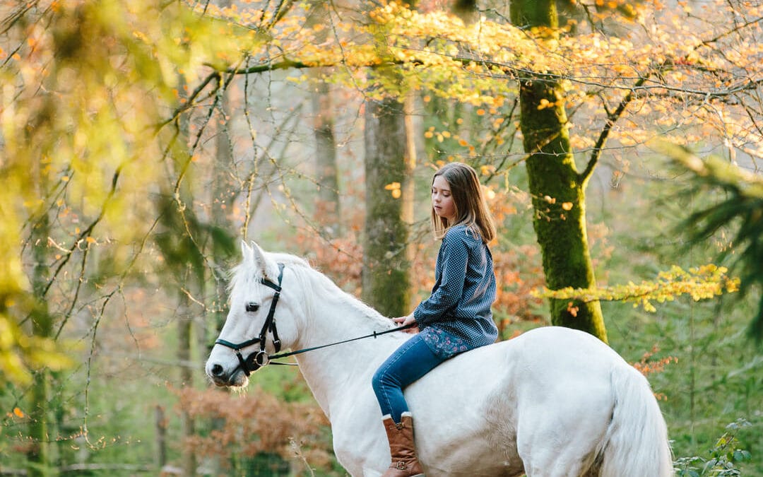 Autumn light and a magical unicorn | Equine Hampshire Photographer